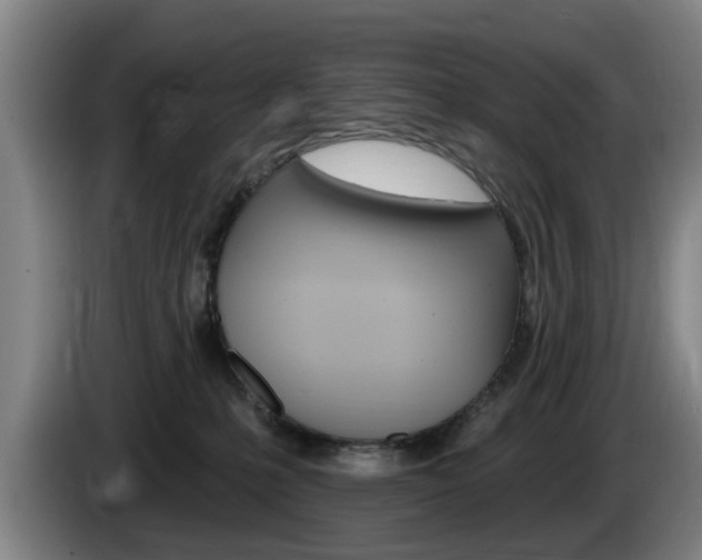 X0000085220231200703090834