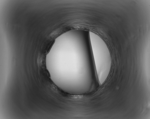 X0000085220233200703090834