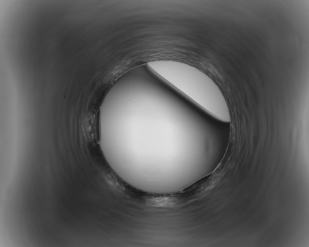 X0000085220237200703090834