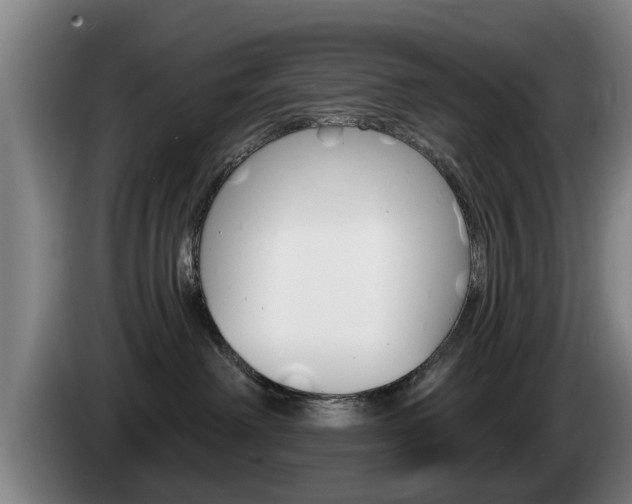 X0000085220238200703090834