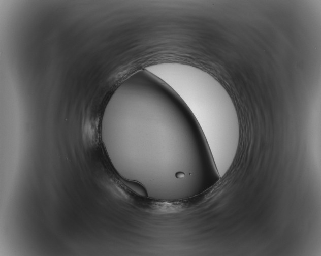 X0000085220239200703090834
