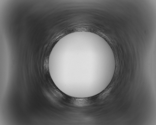 X0000085220240200703090834