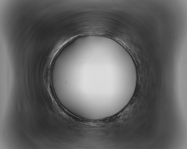 X0000085220241200703090834
