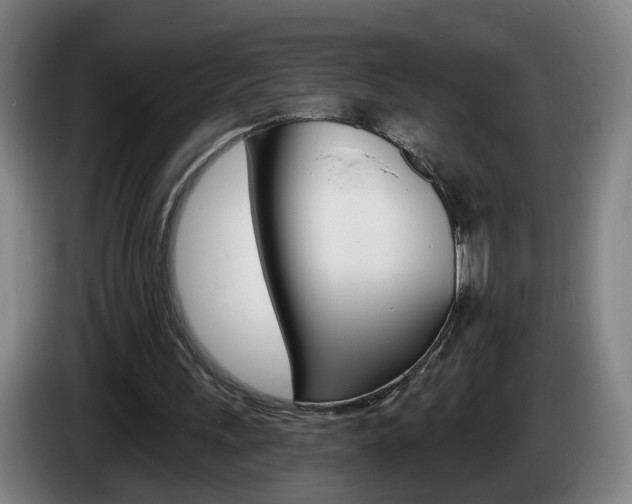 X0000085220243200703090834
