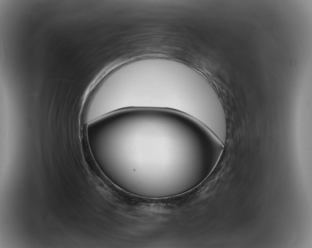 X0000085220244200703090834