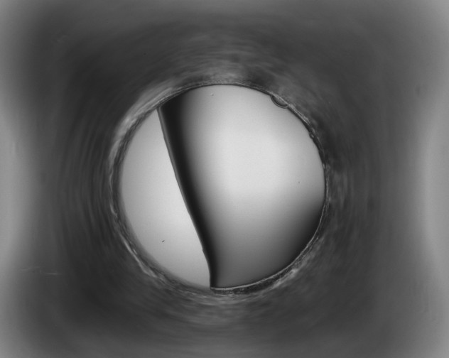 X0000085220245200703090834