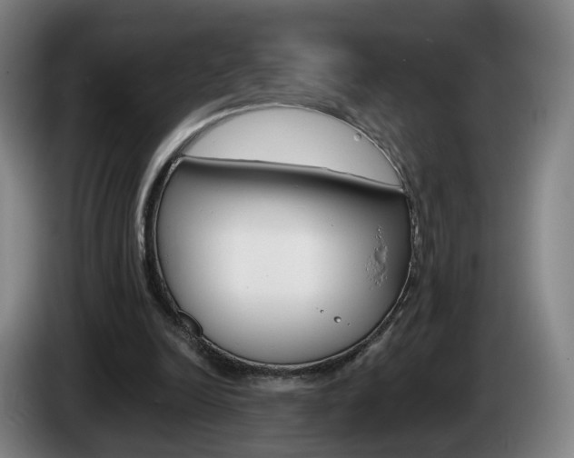 X0000085220246200703090834
