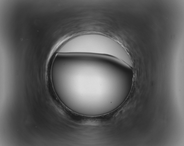 X0000085220248200703090834