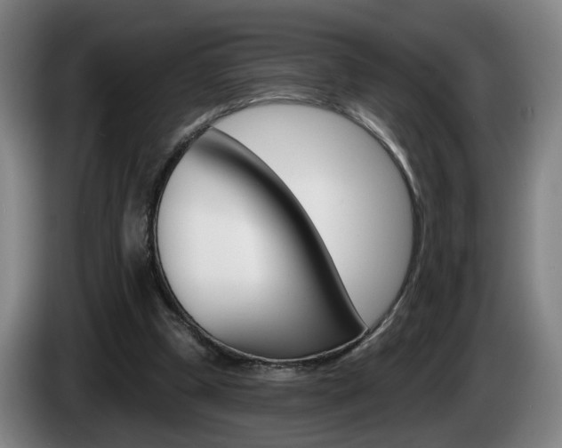 X0000085220249200703090834