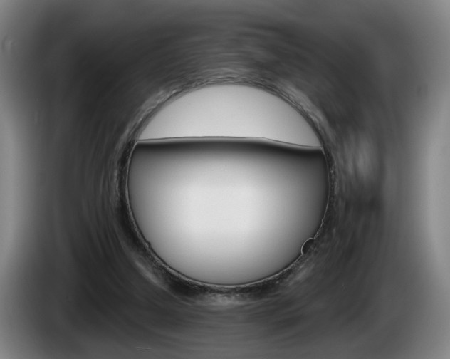 X0000085220250200703090834