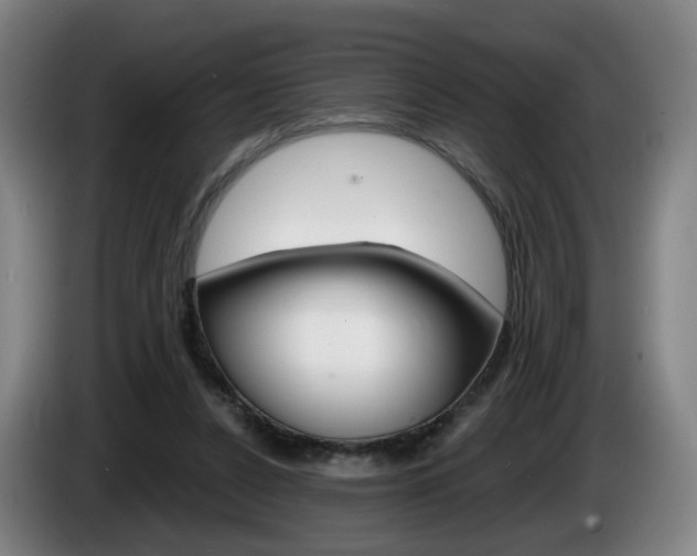 X0000085220256200703090834