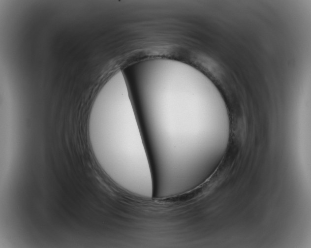 X0000085220261200703090834