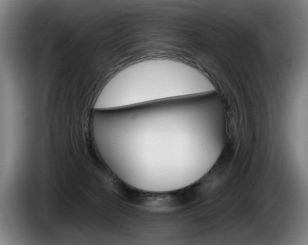 X0000085220274200703090834