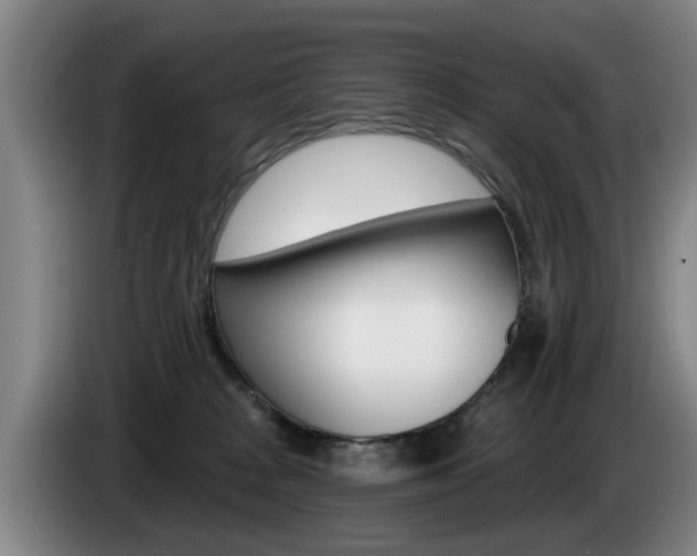 X0000085220277200703090834