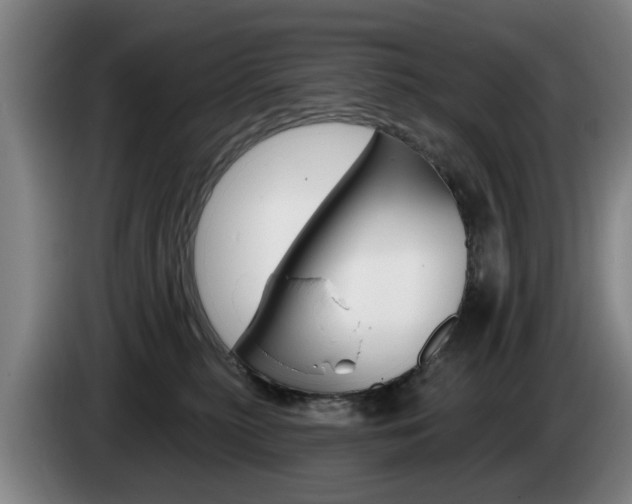 X0000085220279200703090834