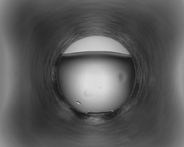 X0000085220280200703090834