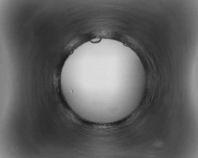 X0000085220282200703090834