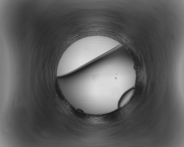 X0000085220283200703090834