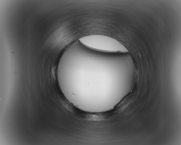 X0000085220286200703090834