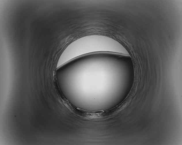 X0000085220288200703090834