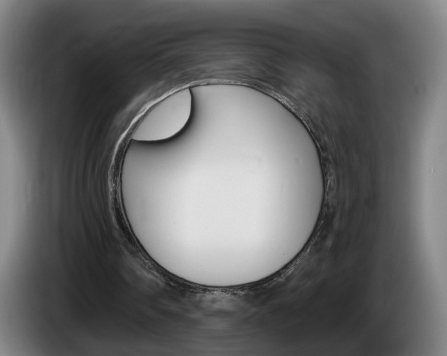 X0000085220290200703090834