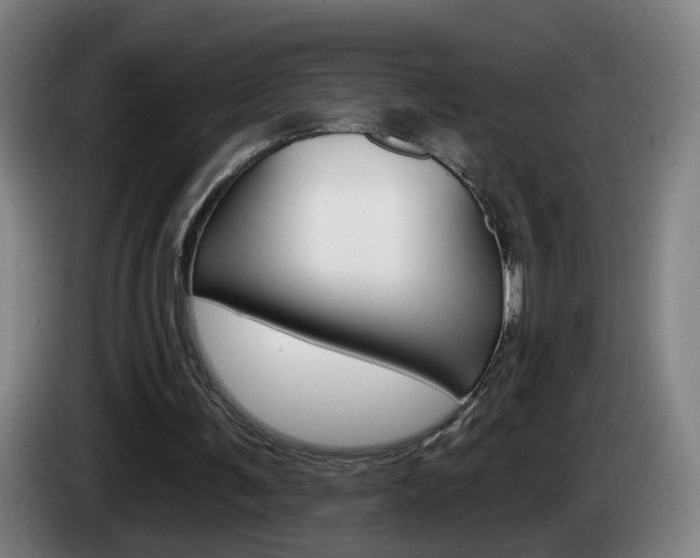X0000085220291200703090834