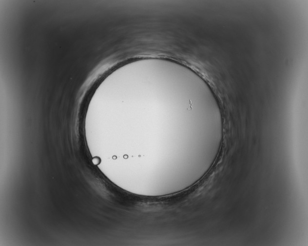 X0000085220296200703090834