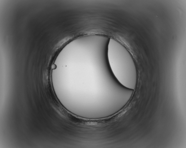 X0000085220298200703090833