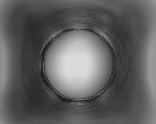 X0000085220299200703090833