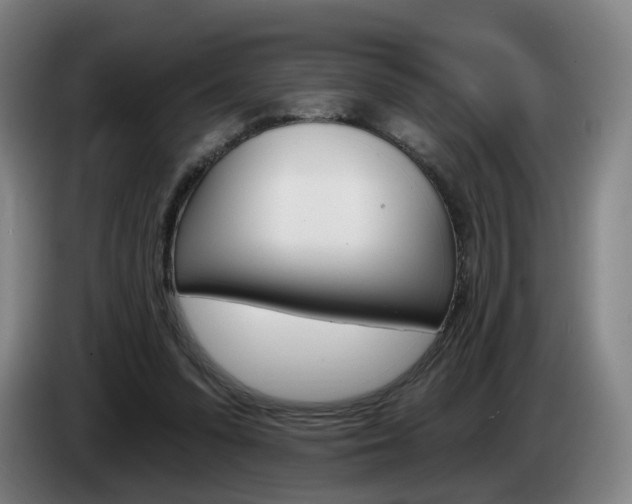 X0000085220303200703090833