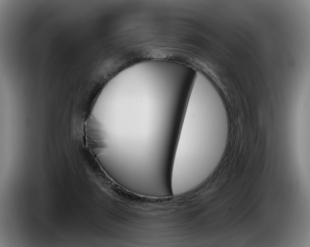 X0000085220307200703090833