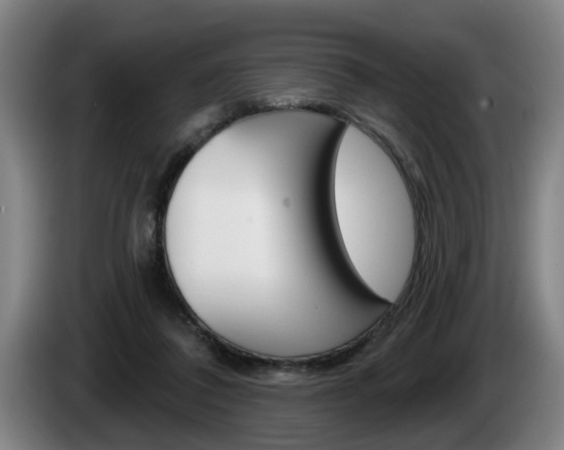 X0000085220308200703090833