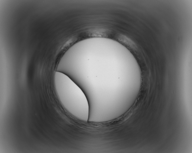 X0000085220310200703090833