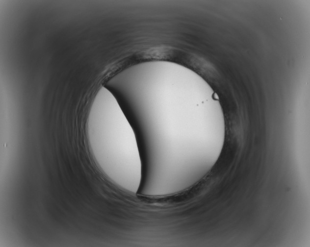 X0000085220312200703090833