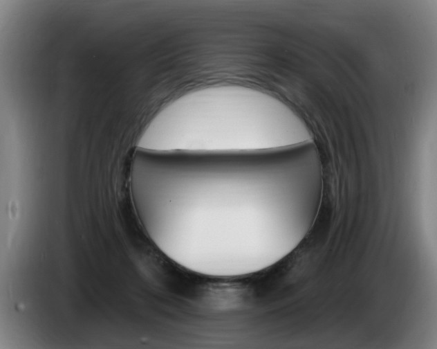 X0000085220316200703090833