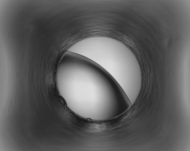 X0000085220317200703090833