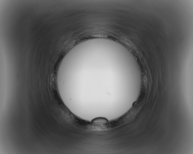 X0000085220322200703090833