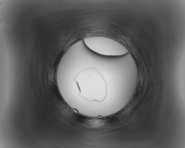 X0000085220326200703090833