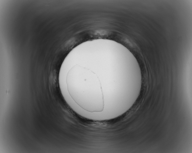 X0000085220328200703090833