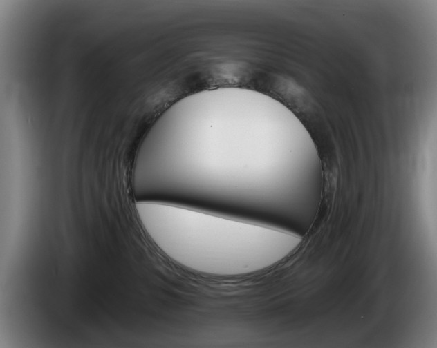 X0000085220331200703090833