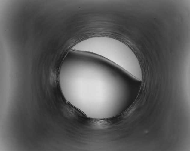 X0000085220333200703090833