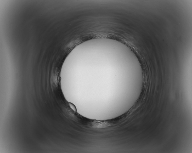 X0000085220334200703090833