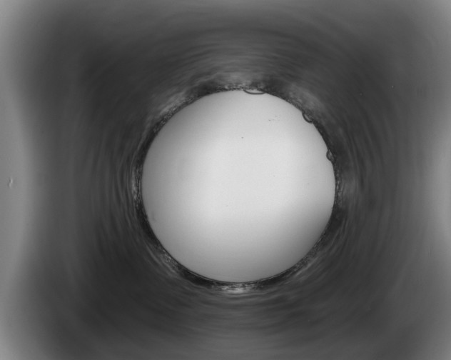 X0000085220335200703090833
