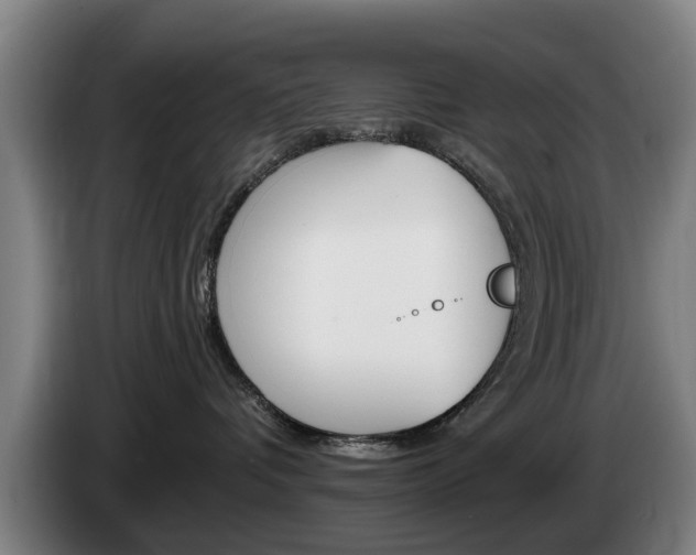 X0000085220336200703090833
