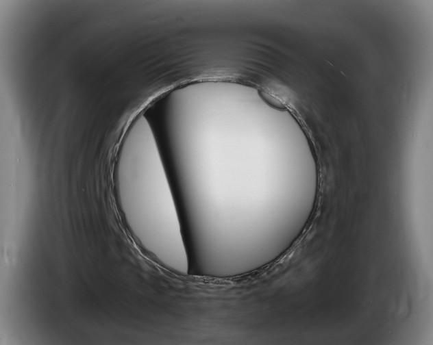 X0000085220337200703090832
