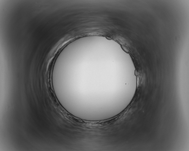 X0000085220339200703090832