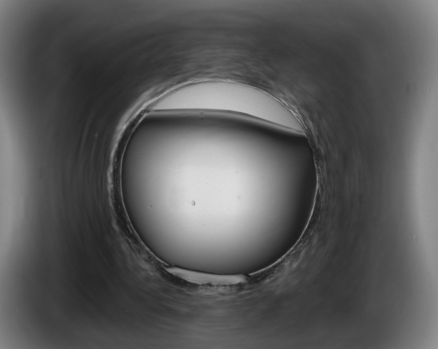 X0000085220340200703090832