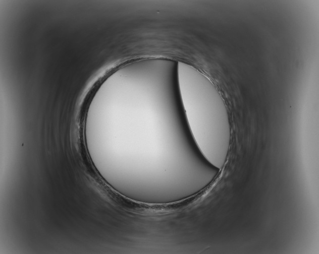 X0000085220342200703090832