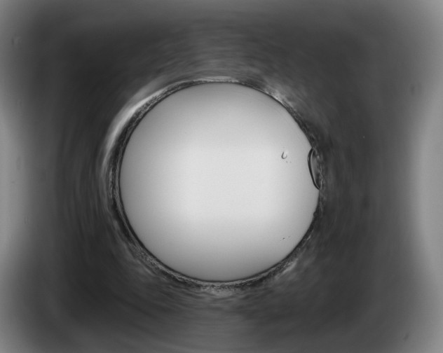 X0000085220343200703090832