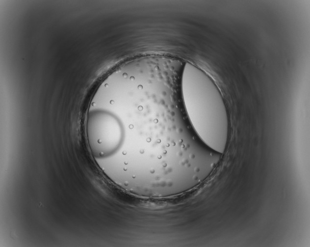 X0000085220346200703090832
